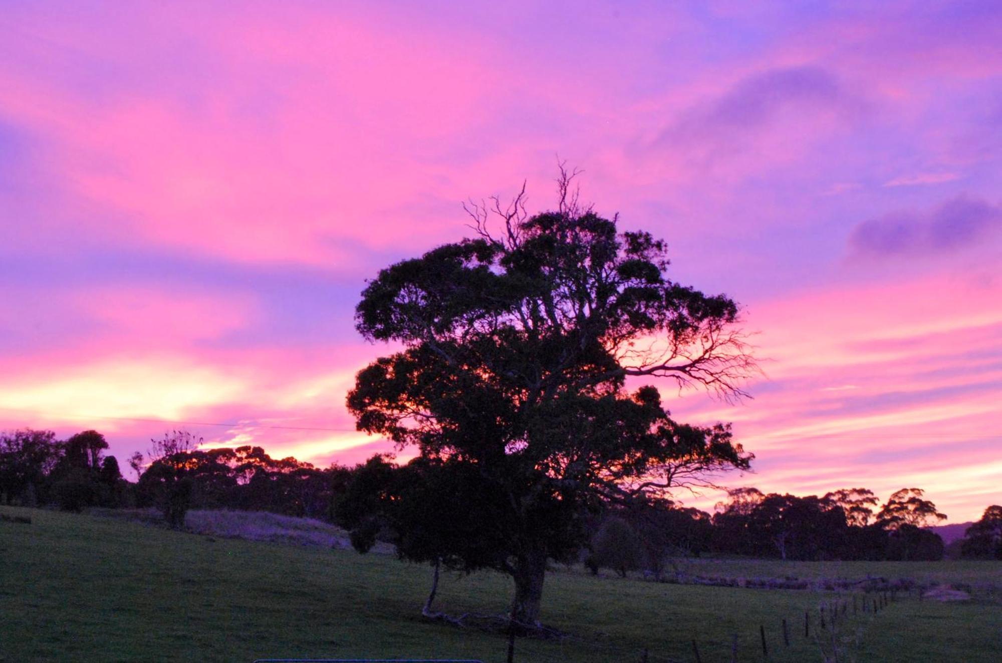 Back Valley Farmstay Bed And Breakfast Victor Harbor Dış mekan fotoğraf