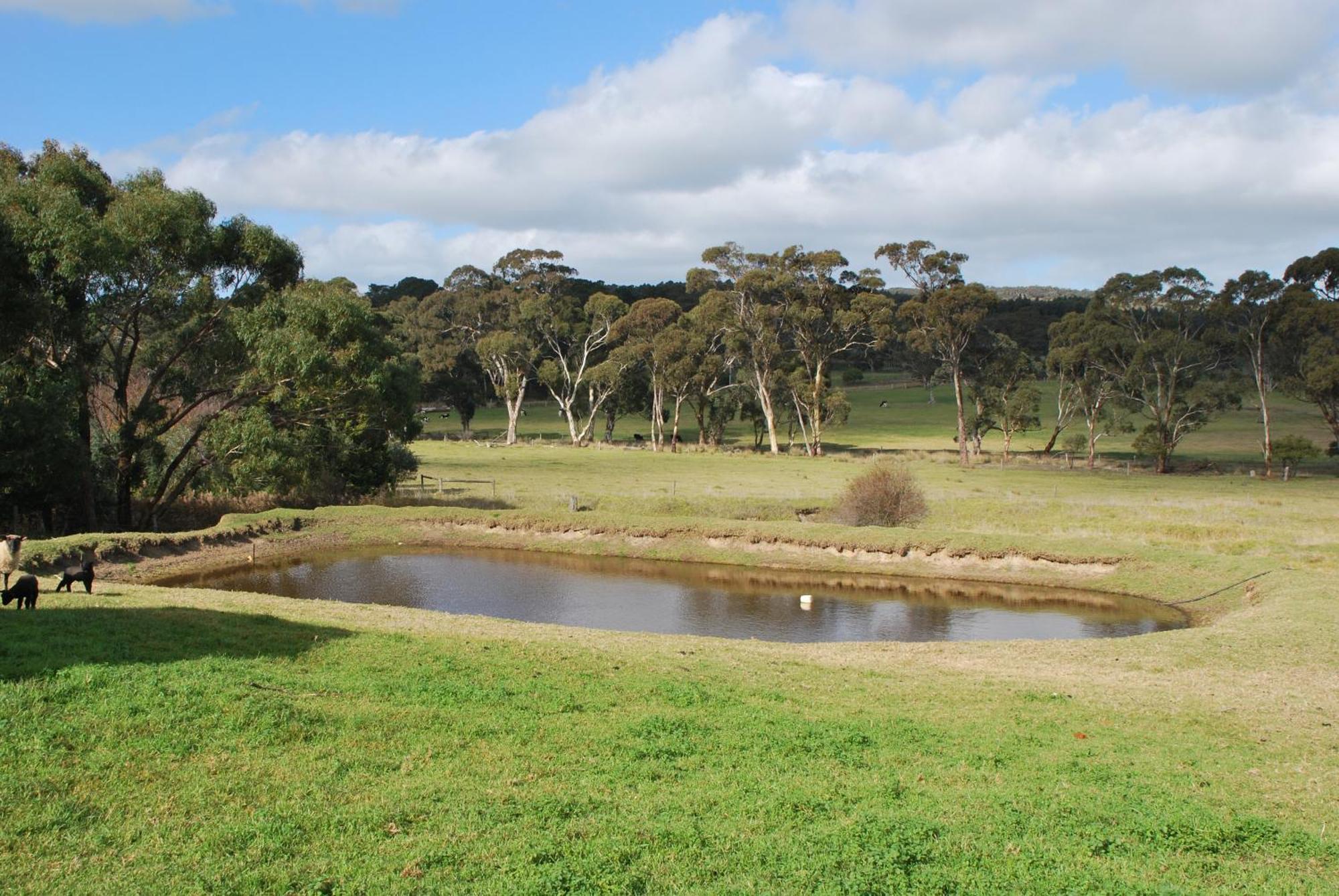 Back Valley Farmstay Bed And Breakfast Victor Harbor Dış mekan fotoğraf