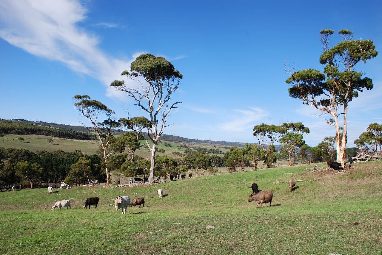 Back Valley Farmstay Bed And Breakfast Victor Harbor Dış mekan fotoğraf